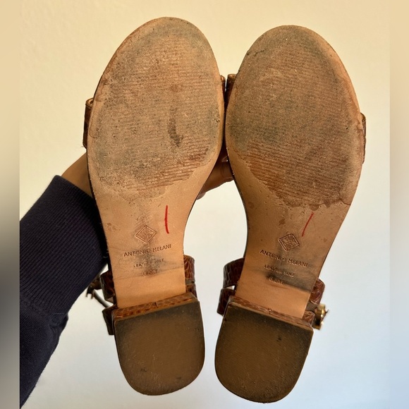 Antonio Melani Brown Crocodile Textured Sandal with Gold Buckle Size 6.5M - Picture 5 of 5